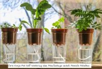 Cara Kerja Pot Self-Watering dan Manfaatnya untuk Pemula Pekebun