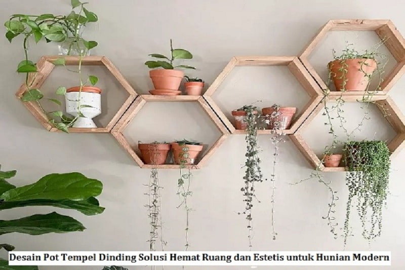 Desain Pot Tempel Dinding Solusi Hemat Ruang dan Estetis untuk Hunian Modern