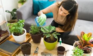 Jenis Pot Bunga dalam Rumah yang Mudah Dirawat dan Tahan Lama