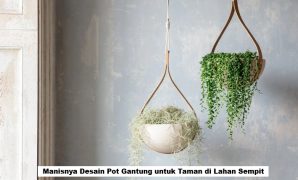 Manisnya Desain Pot Gantung untuk Taman di Lahan Sempit