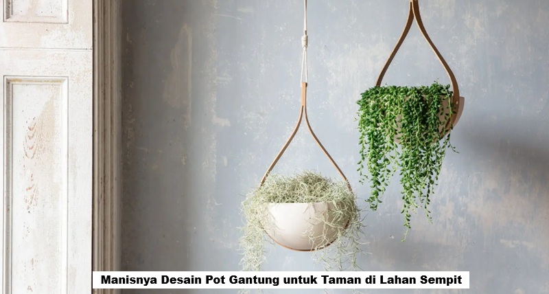 Manisnya Desain Pot Gantung untuk Taman di Lahan Sempit