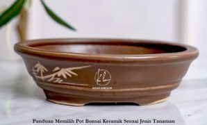 Panduan Memilih Pot Bonsai Keramik Sesuai Jenis Tanaman