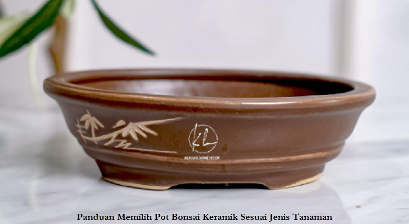 Panduan Memilih Pot Bonsai Keramik Sesuai Jenis Tanaman