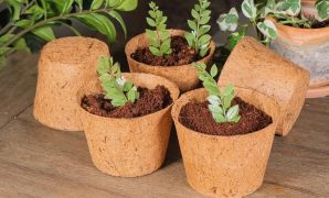 Pot dari Sabut Kelapa