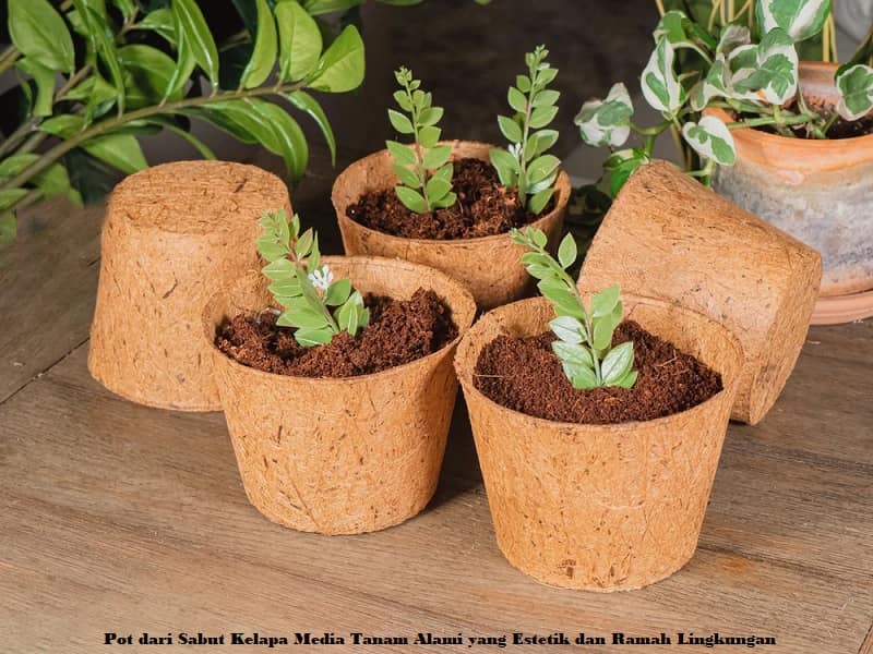 Pot dari Sabut Kelapa