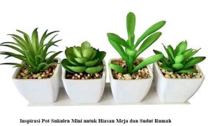Pot Sukulen Mini