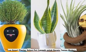 Lua Smart Planter Solusi Pot Canggih untuk Desain Taman Modern